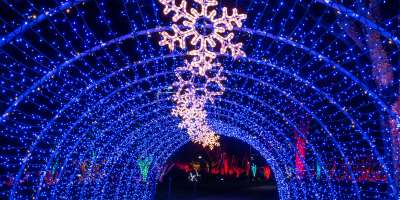 Winter Lights 2018