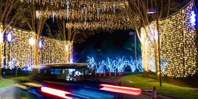 Drive through lights display as part of Winter Lights at the NC Arboretum in Asheville, NC