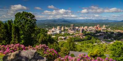 Downtown Asheville Skyline with Rhododendron