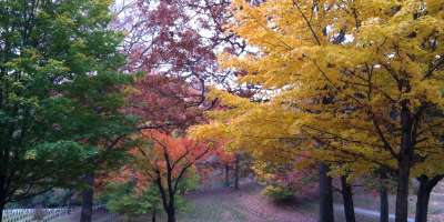 Riverside Cemetery in Fall