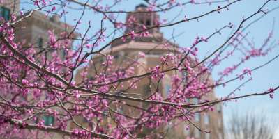 Spring in Asheville
