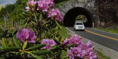 Blue Ridge Parkway Tunnel Summer