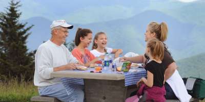 Picnic at Richland Balsam