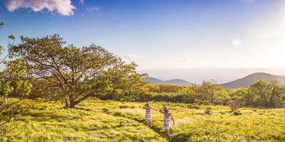 Summer in Asheville