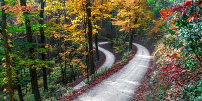Yellow Gap Road Late Fall 2016