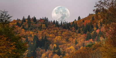 Fall moon