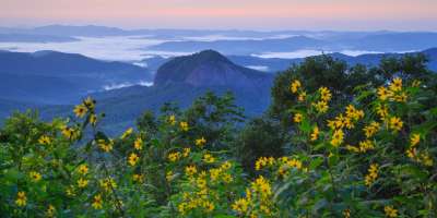 Looking Glass Rock with wildflowers