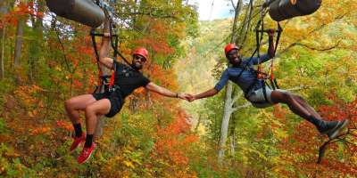 Two men holding hands ziplining through forest with fall-colored leaves at Navitat