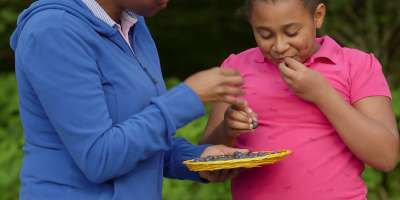 Blueberry Picking