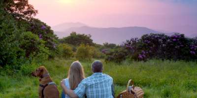 Craggy Gardens Picnic