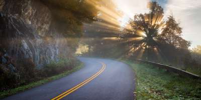 Light rays stream through a tree along the Blue Ridge Parkway near Asheville, NC