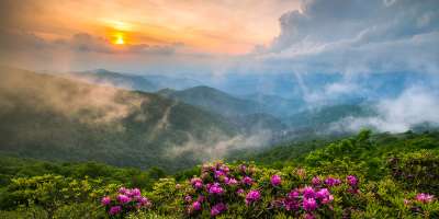 Spring in Asheville