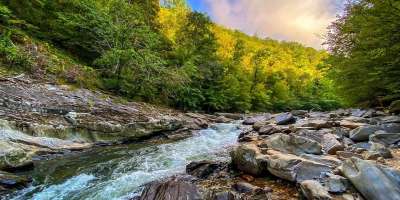 Picture of Laurel River at Sunset