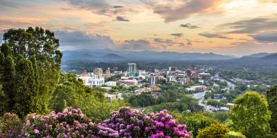 Asheville, NC skyline with beautiful rhododendron blooms