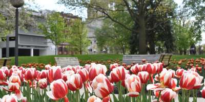 Spring Bloom In Fort Wayne Indiana Visit Fort Wayne