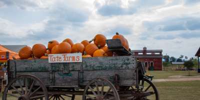 Pick Your Own Pumpkin At Tate Farms