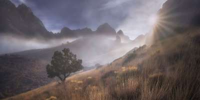ORGAN_MOUNTAIN_MORNING_MIST_wa