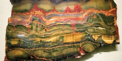 NMSU's Zuhl Museum Shows Off Petrified Wood