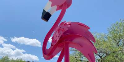 Learn About the History of the Pink Flamingo in Abiquiu