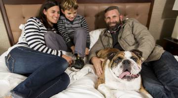 Pet Friendly Hotel