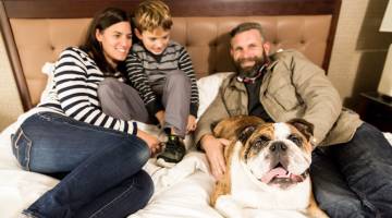Dog Hotel