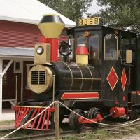 The bison train pulls into the station at Terry Bison Ranch in Cheyenne, Wyoming.