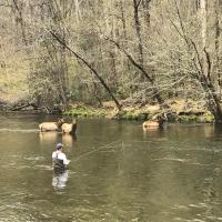 elk & fly fisherman in river