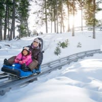 alpine slide snow king mountain