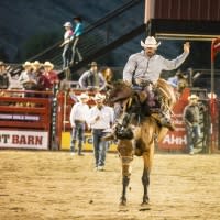 jackson hole rodeo