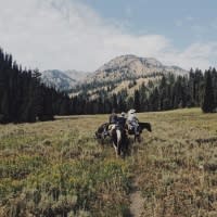 horseback riding jackson hole