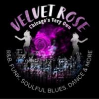 Logo for the Velvet Rose Band playing at Concerts in the Park for 2026.