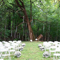 Willowfield Wedding Tree