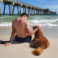 Man Sitting With Dog At Dog Beach In Panama City Beach