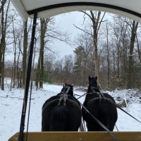 Winter Carriage Ride at Green's Fruit Farm