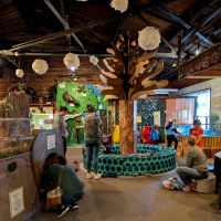 Picture of tree exhibit at the Bloomsburg Children's Museum