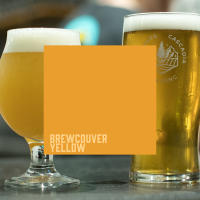 Brand Colors: Brewcouver