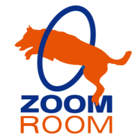 Zoom Room Logo