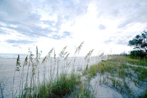 View of sea grass, sand, sea, and sky at sunset on Knight Island