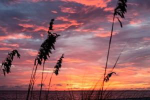 Sunset at Ponce de Leon Park in Punta Gorda, Florida