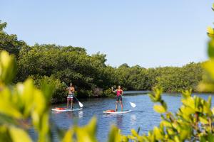 Couple Standup Paddleboarding in Punta Gorda/Englewood Beach