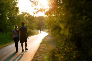 Busse Woods Trail – Courtesy of Cook County Forest Preserve