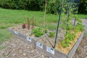 Claysburg Community Garden