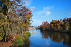 Fall Foliage and Biking on the Augusta Canal Bike Path 