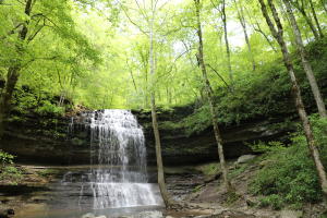 Stillhouse Hollow Falls