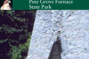 Pine Grove Recreational Guide