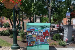 Carlisle Painted Electric Boxes