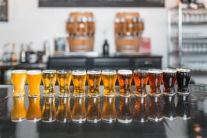 Draft beer in glasses lined up at Desperate Times Brewery