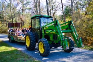 John Deere tractor pulling a trailer of people at the Fall Furnace Festival