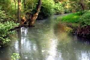 Green Spring Creek