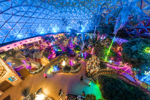 Dome for the Holidays